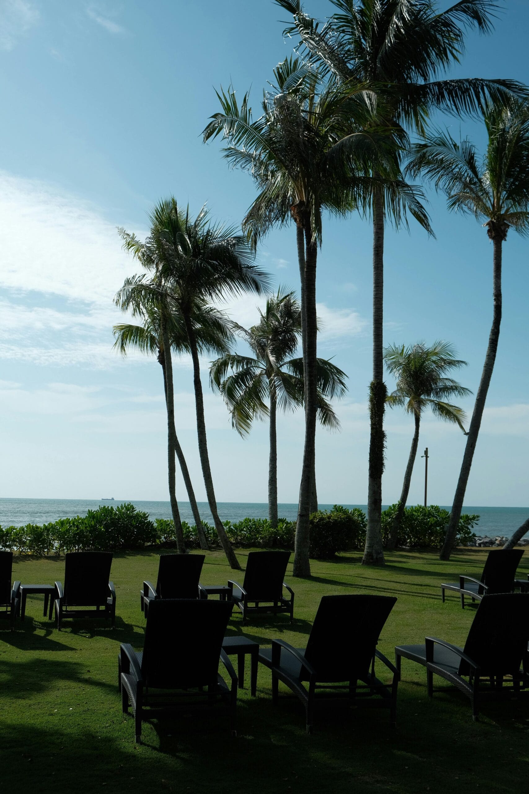 CodeVIP 14 Platforma de Management al Experiențelor de Lux ‘The Curator’